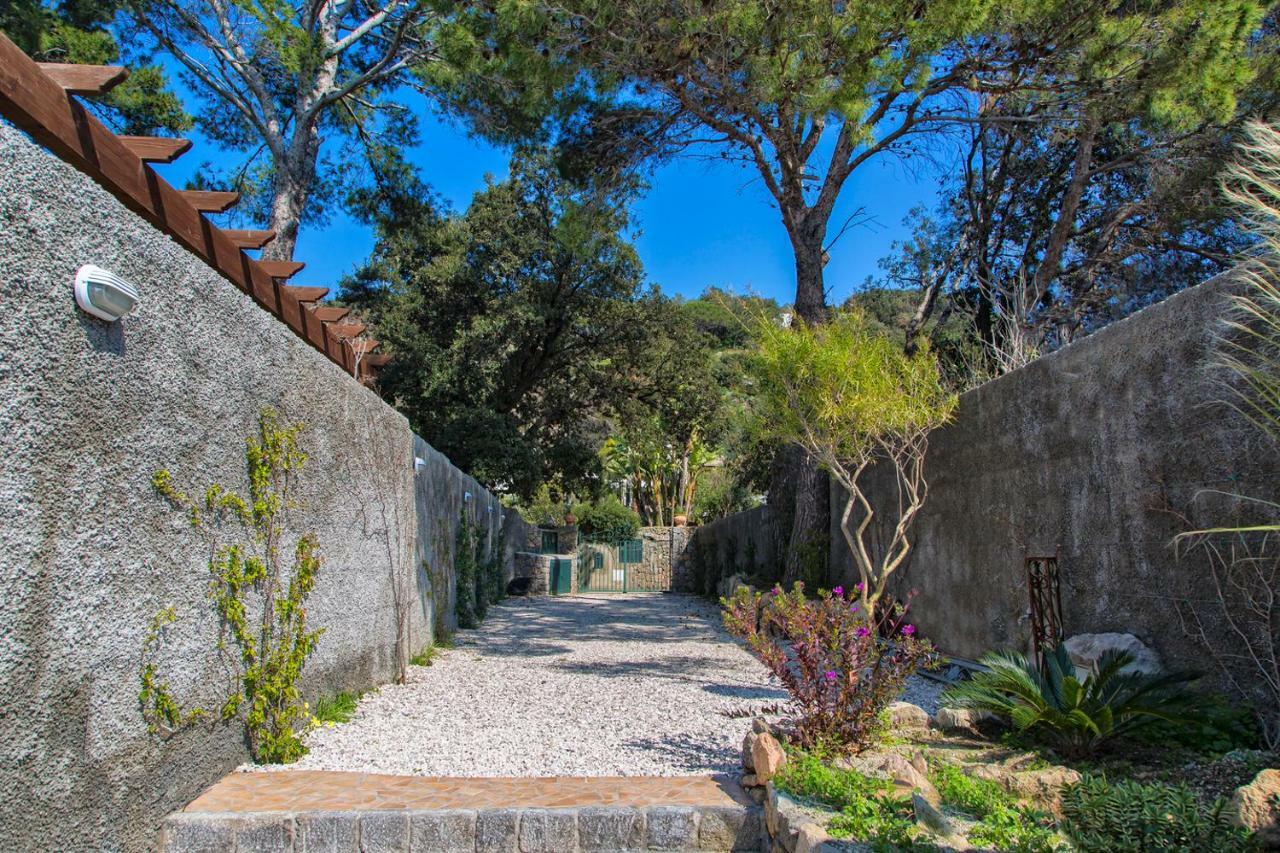 Dei Lecci - 7 Luxury With Private Pool Or Jacuzzi * Forio (Isola d'Ischia)